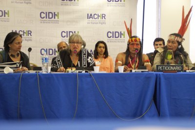 Defenders of the Human Rights of Indigenous Peoples and the Environment ...